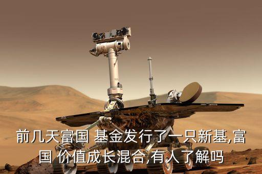 前幾天富國 基金發(fā)行了一只新基,富國 價(jià)值成長混合,有人了解嗎