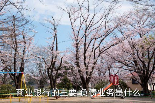  商業(yè)銀行的主要 負債業(yè)務(wù)是什么