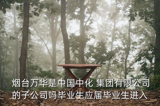 煙臺萬華集團(tuán)信息化規(guī)劃報告