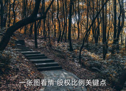 一張圖看清 股權(quán)比例關(guān)鍵點