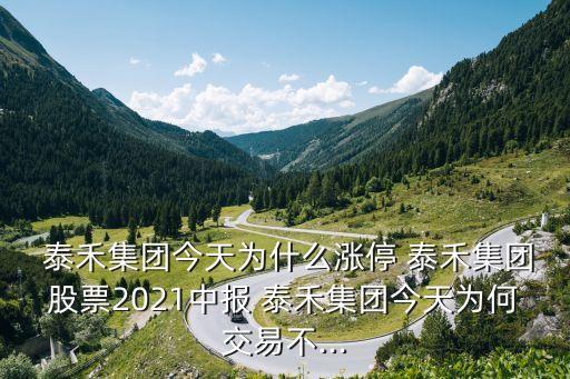 泰禾集團最新關于股東股權質押
