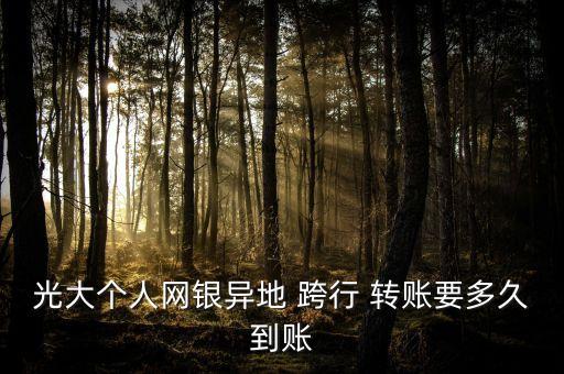 光大個(gè)人網(wǎng)銀異地 跨行 轉(zhuǎn)賬要多久到賬