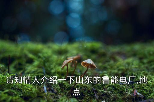 請(qǐng)知情人介紹一下山東的魯能電廠,地點(diǎn)