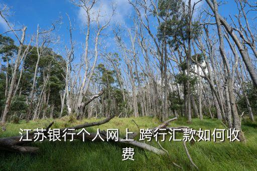  江蘇銀行個(gè)人網(wǎng)上 跨行匯款如何收費(fèi)