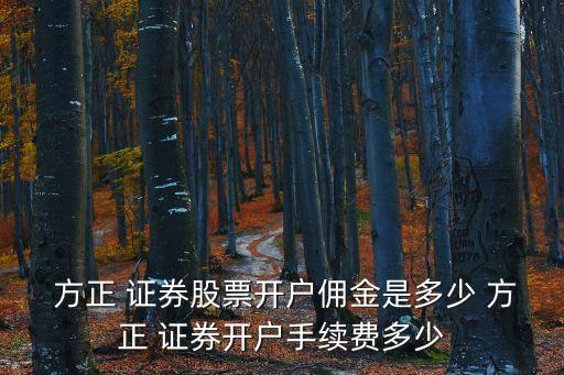  方正 證券股票開(kāi)戶(hù)傭金是多少 方正 證券開(kāi)戶(hù)手續(xù)費(fèi)多少
