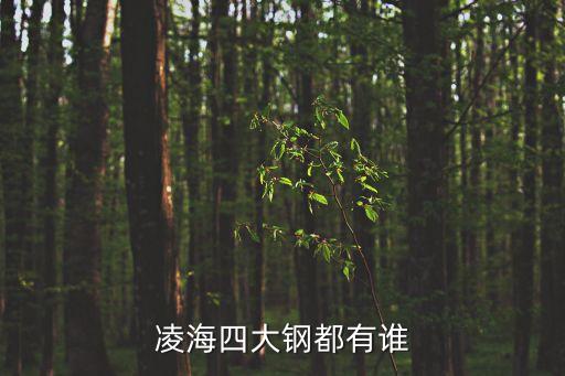 凌海四大鋼都有誰(shuí)