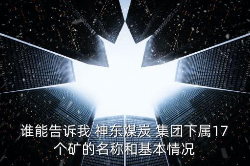 神華神東集團(tuán)會(huì)計(jì),中國神華神東集團(tuán)