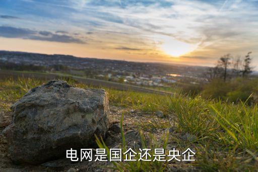 中國主要電網(wǎng)股份企業(yè)有哪些
