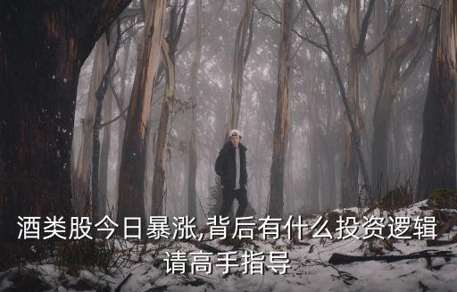 酒類股今日暴漲,背后有什么投資邏輯請(qǐng)高手指導(dǎo)