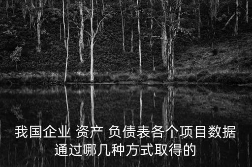 我國企業(yè) 資產 負債表各個項目數(shù)據(jù)通過哪幾種方式取得的