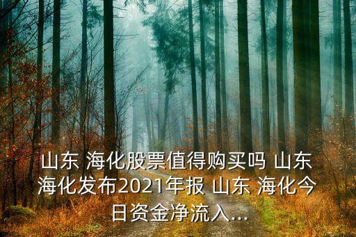  山東 ?；善敝档觅徺I嗎 山東 ?；l(fā)布2021年報(bào) 山東 ?；袢召Y金凈流入...