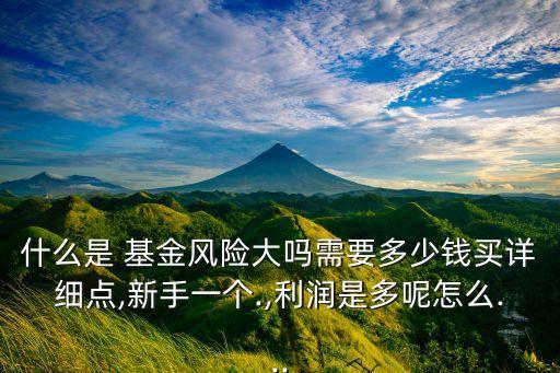 什么是 基金風(fēng)險(xiǎn)大嗎需要多少錢買詳細(xì)點(diǎn),新手一個(gè).,利潤是多呢怎么...