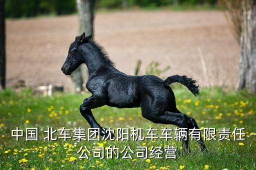 中國(guó) 北車(chē)集團(tuán)沈陽(yáng)機(jī)車(chē)車(chē)輛有限責(zé)任公司的公司經(jīng)營(yíng)