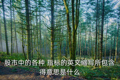 股市中的各種 指標的英文縮寫所包含得意思是什么