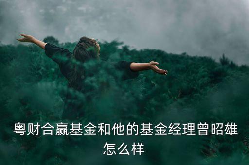 粵財合贏基金和他的基金經(jīng)理曾昭雄怎么樣
