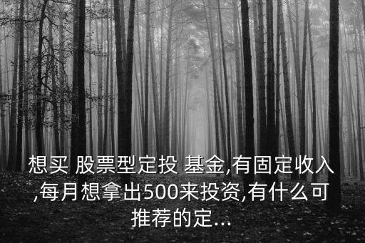 想買(mǎi) 股票型定投 基金,有固定收入,每月想拿出500來(lái)投資,有什么可推薦的定...