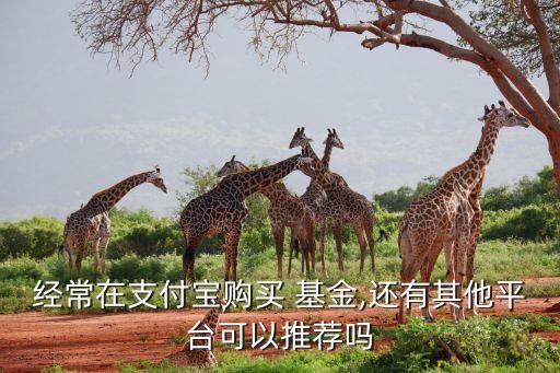 經(jīng)常在支付寶購買 基金,還有其他平臺可以推薦嗎