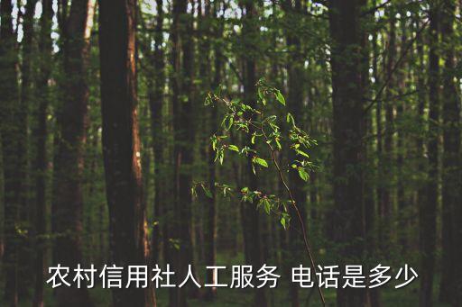 江陰市農(nóng)村商業(yè)銀行客服電話,深圳農(nóng)村商業(yè)銀行客服電話9559