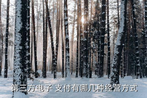 中國(guó)五大第三方支付平臺(tái)業(yè)務(wù)和利潤(rùn)來源