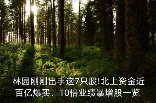  林園剛剛出手這7只股!北上資金近百億爆買、10倍業(yè)績暴增股一覽