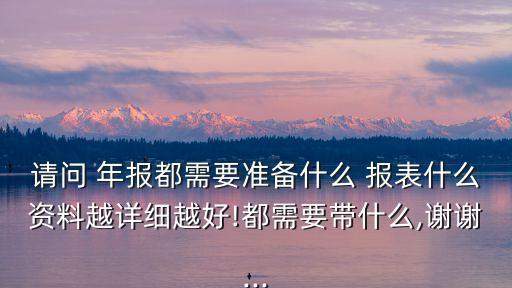 請問 年報都需要準(zhǔn)備什么 報表什么資料越詳細越好!都需要帶什么,謝謝...