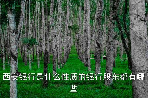 西安銀行是什么性質(zhì)的銀行股東都有哪些