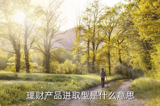  理財產(chǎn)品進取型是什么意思