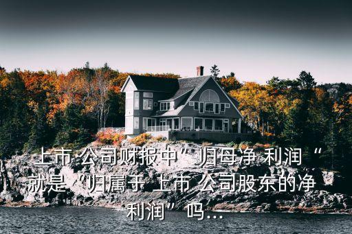  上市 公司財報中”歸母凈 利潤“就是“歸屬于 上市 公司股東的凈 利潤”嗎...