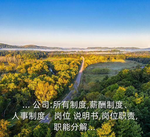 ... 公司:所有制度,薪酬制度、人事制度、崗位 說(shuō)明書,崗位職責(zé),職能分解...
