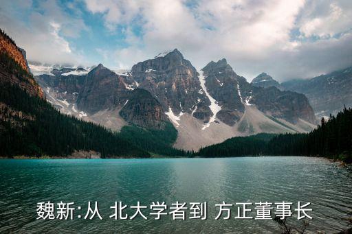 北大方正集團科技,北京北大方正科技技術學院