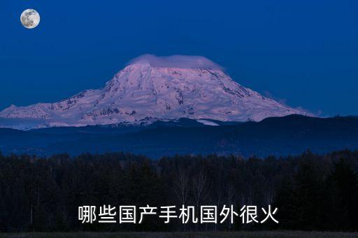 摩托羅拉中國最高占有率