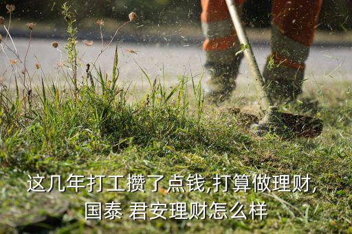 這幾年打工攢了點錢,打算做理財, 國泰 君安理財怎么樣