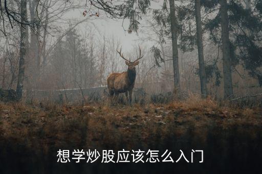 想學炒股應該怎么入門