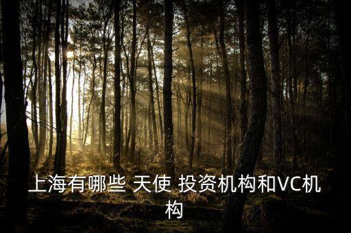 上海有哪些 天使 投資機構(gòu)和VC機構(gòu)