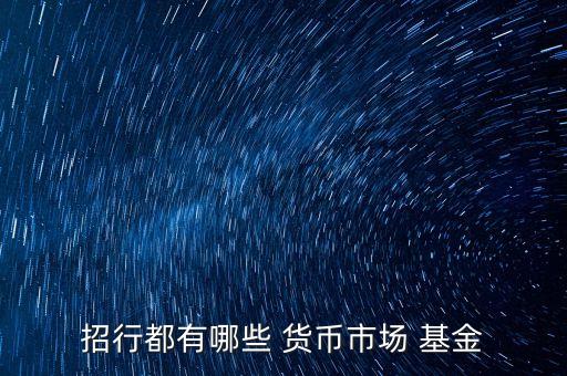 海富通貨幣基金b