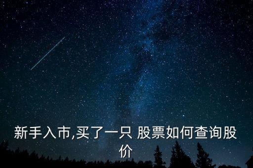 新手入市,買了一只 股票如何查詢股價(jià)