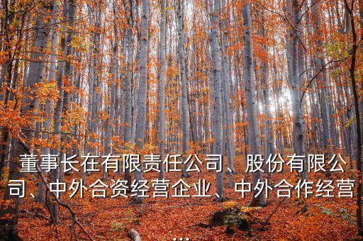 股份公司董事長產生方式,現(xiàn)任鴨鴨股份公司董事長