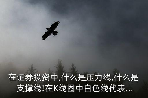 在證券投資中,什么是壓力線(xiàn),什么是 支撐線(xiàn)!在K線(xiàn)圖中白色線(xiàn)代表…