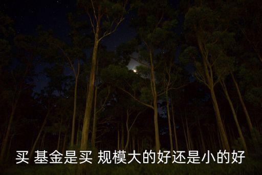 買 基金是買 規(guī)模大的好還是小的好