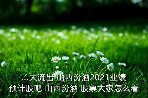 ...大流出 山西汾酒2021業(yè)績預計股吧 山西汾酒 股票大家怎么看