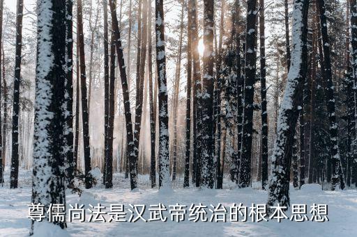 中國(guó)為什么不能?chē)?yán)刑峻法,為什么漢謨拉比法典是嚴(yán)刑峻法