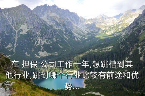 民營擔(dān)保公司出路,中國民營擔(dān)保公司排名