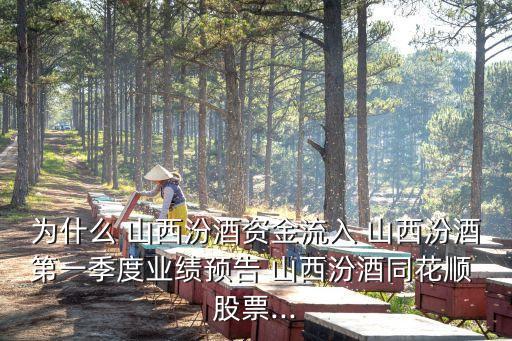 為什么 山西汾酒資金流入 山西汾酒第一季度業(yè)績預告 山西汾酒同花順 股票...