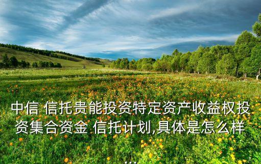 信托公司分布,雪松信托公司最新消息