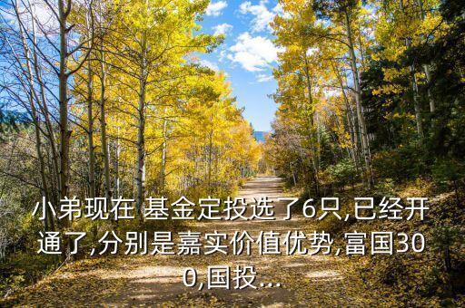 小弟現(xiàn)在 基金定投選了6只,已經開通了,分別是嘉實價值優(yōu)勢,富國300,國投...