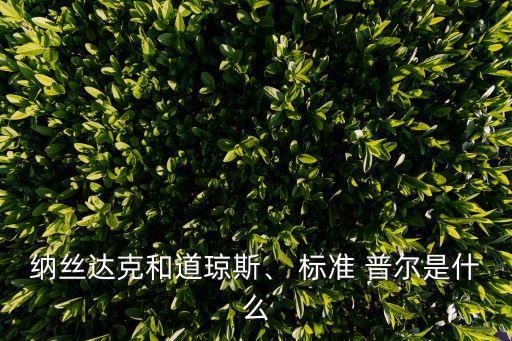 納絲達(dá)克和道瓊斯、 標(biāo)準(zhǔn) 普爾是什么