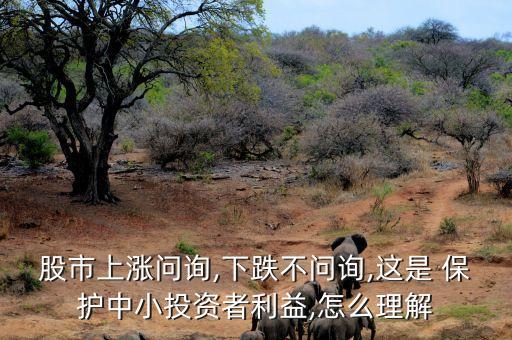 股市上漲問(wèn)詢,下跌不問(wèn)詢,這是 保護(hù)中小投資者利益,怎么理解
