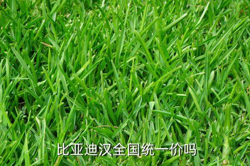  比亞迪漢全國統(tǒng)一價嗎