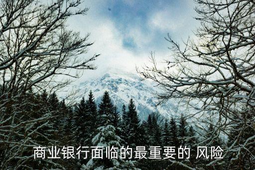  商業(yè)銀行面臨的最重要的 風(fēng)險(xiǎn)