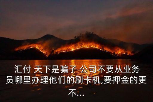 匯付天下公司如何